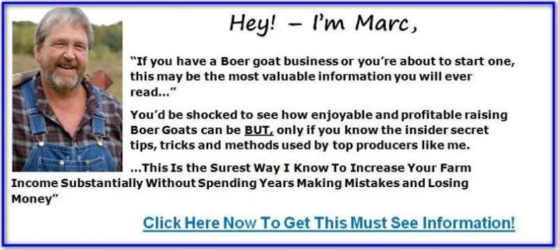 making money raising boer goats